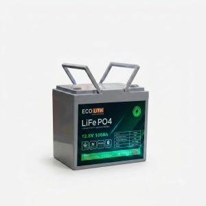 ecolith 12.8v 100ah লিথিয়াম ফসফেট (lifepo4) ব্যাটারি